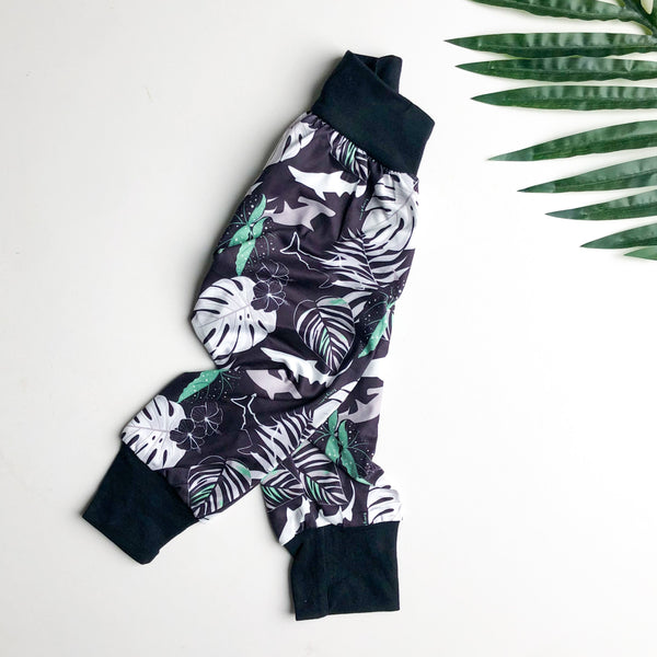 Jogger Pant- Shark Leaf -ALOHA PLAYWEAR