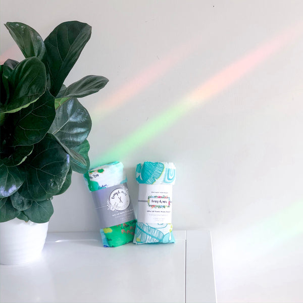 Rainbow Maker Suncatcher Decal - Monstera- Every Day is A Fresh Start
